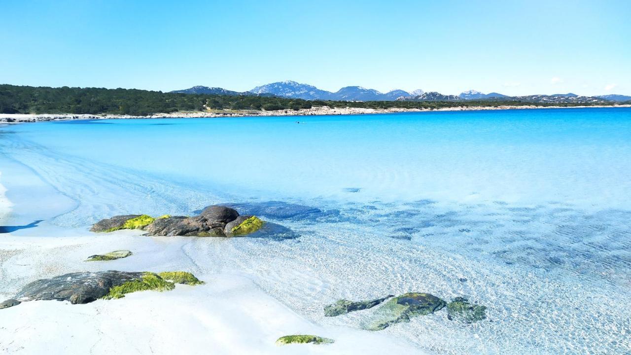 Sardegna Golfo Di Marinella Lägenhet *